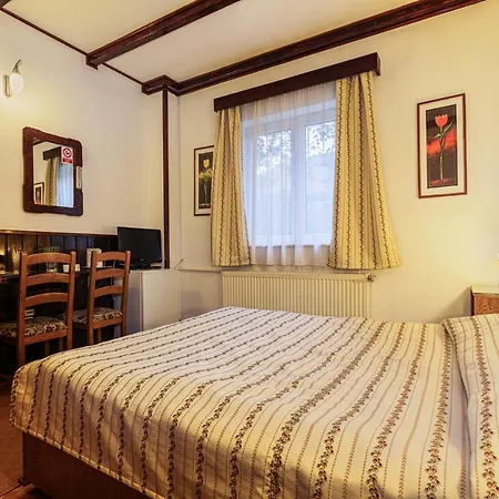 Casa Bradul *