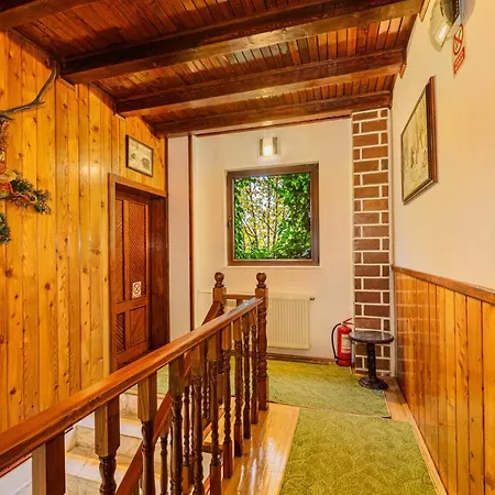 Casa Bradul Homestay